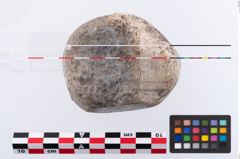 Foto von Reibstein (NHMW-PRAE-003497)